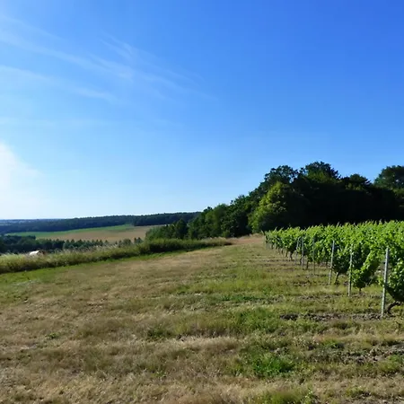 Familial Dans Le Bocage Bourbonnais Avec Jardin Prive - Fr-1-489-93 Holiday home